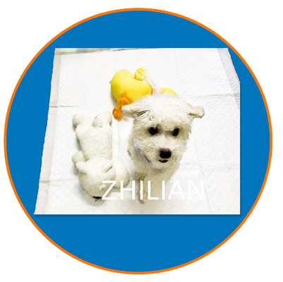 3 Aşamalı Pet Pad Köpek Kedi Pedi Yapma Makinesi 350 m/ Dak