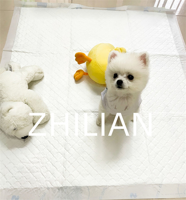 Tek Kullanımlık Pet Pad Eğitim Pedi Makinesi 350mm 900mm Uzunluk