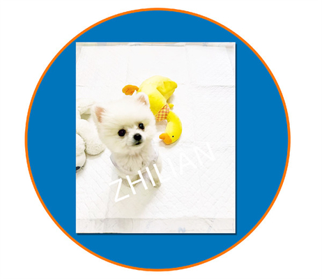 800mm Genişlik Pet Eğitim Pedi Pet Pad Makinası 200m/dk 350 m/dk