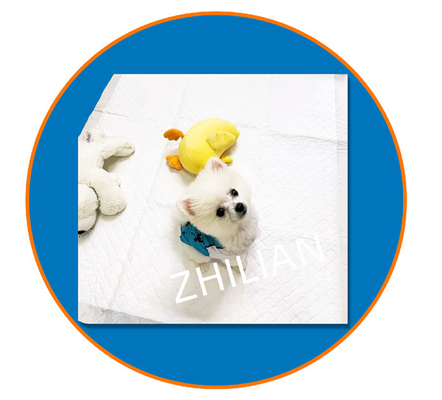 350mm 1200mm Boy Pet Pad Makinası 170 m/dk