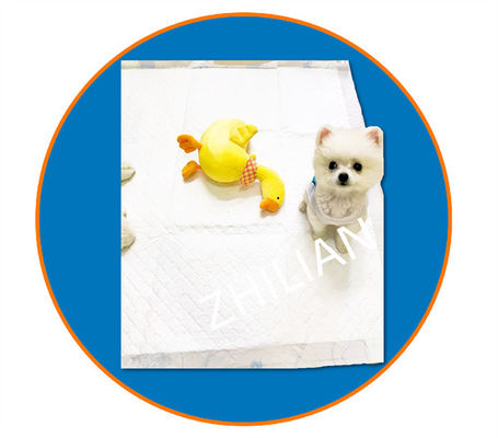 450mm Genişlik Eğitim Pedi Pet Pad Makinası 200 m/dk